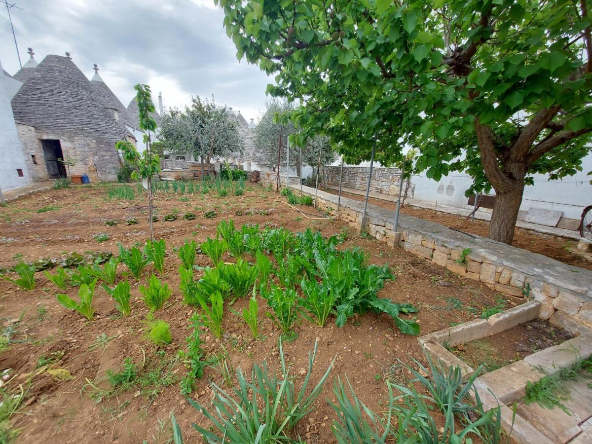 Vila Il Trullo Di Giada E Mattia Alberobello Exteriér fotografie