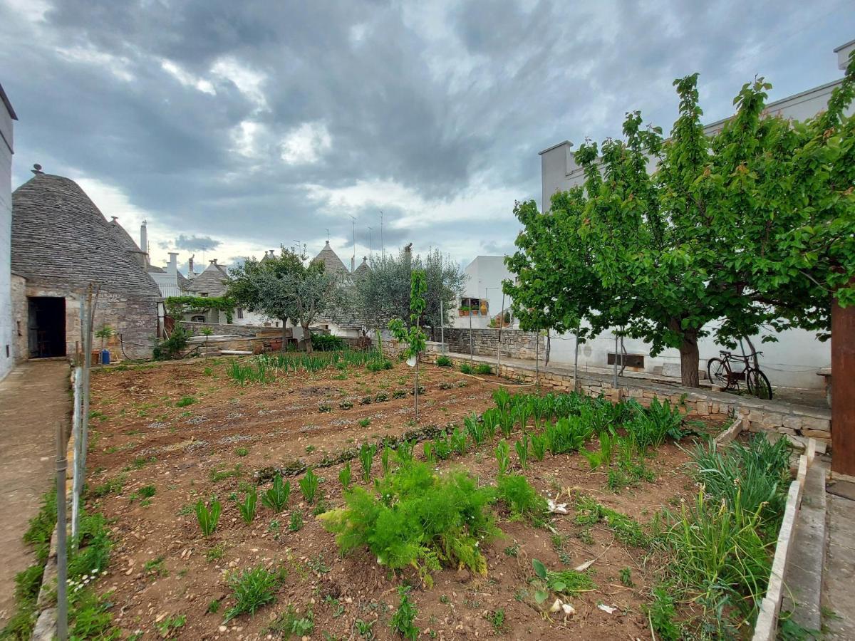 Vila Il Trullo Di Giada E Mattia Alberobello Exteriér fotografie