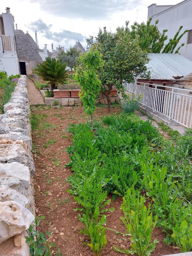 Vila Il Trullo Di Giada E Mattia Alberobello Exteriér fotografie