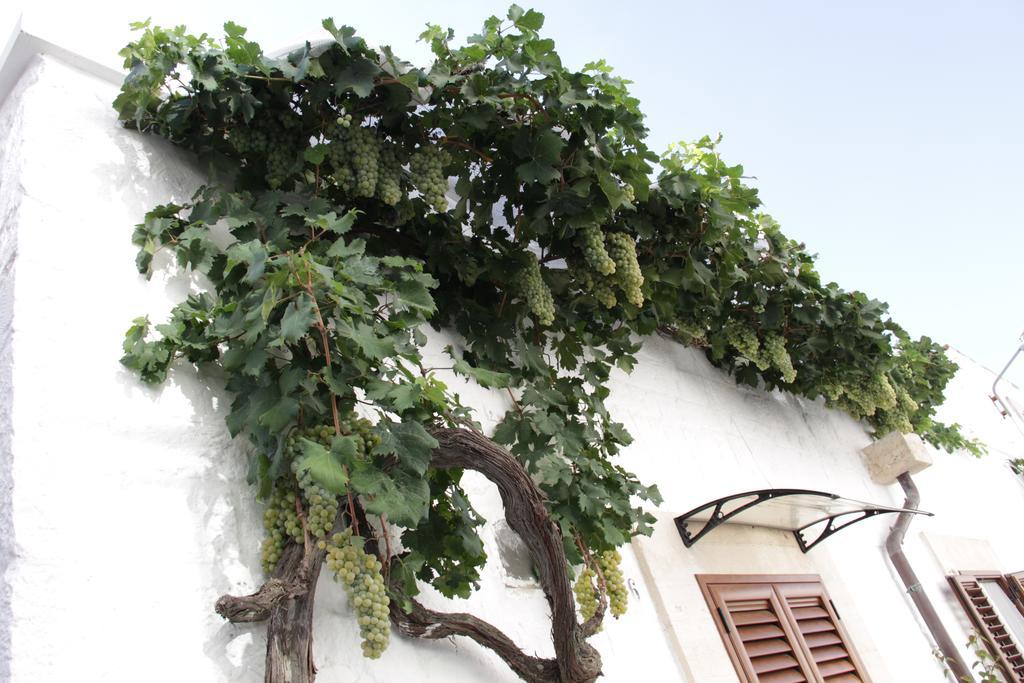Vila Il Trullo Di Giada E Mattia Alberobello Exteriér fotografie