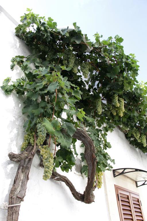 Vila Il Trullo Di Giada E Mattia Alberobello Exteriér fotografie