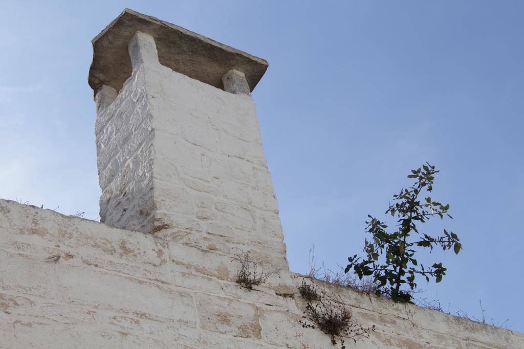 Vila Il Trullo Di Giada E Mattia Alberobello Exteriér fotografie
